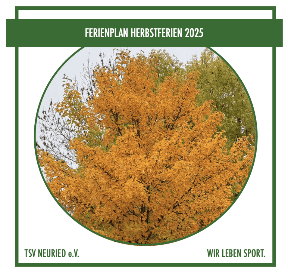 ein herbstlich gelb-oranger Baum