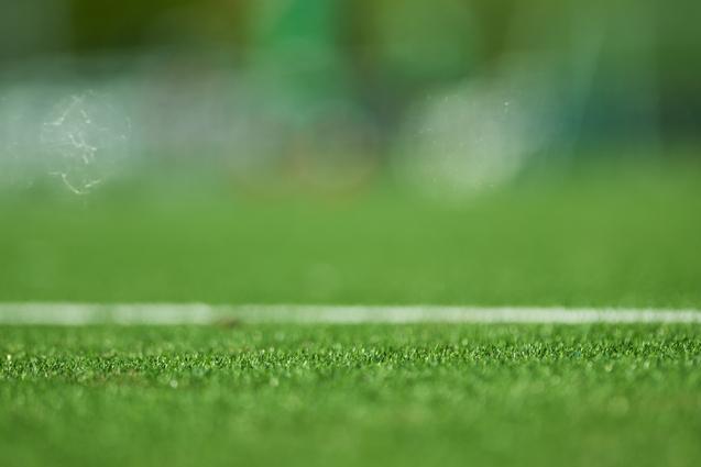 Nahaufnahme des Grases auf einem Fußballfeld mit einem weißen Linienrand im Vordergrund.