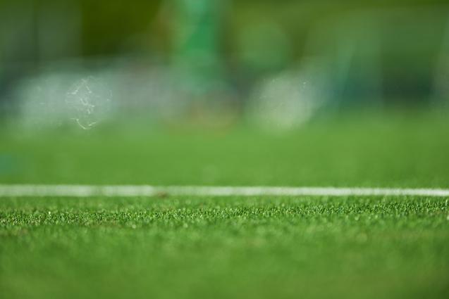 Nahaufnahme des Grases auf einem Fußballfeld mit einem weißen Linienrand im Vordergrund.